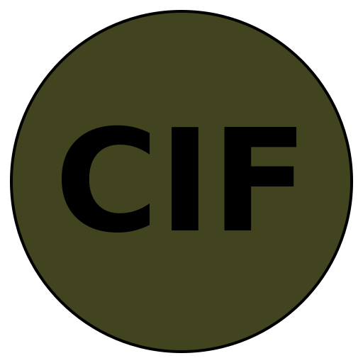 Core Integrity Fitness